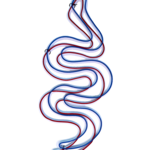 Swirl Neon Light