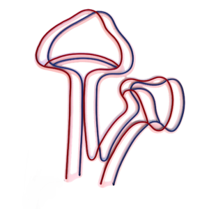 Mushroom Neon Light
